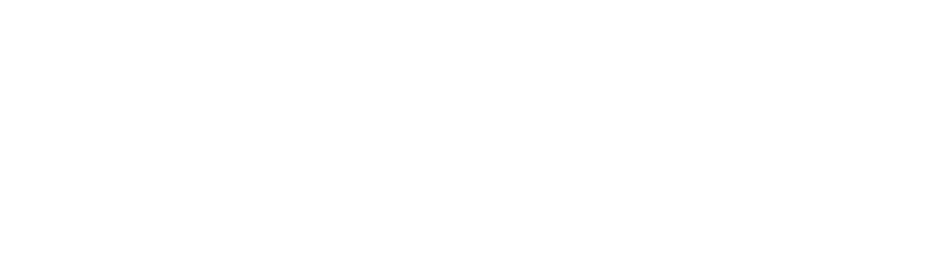 XenovaIQ
